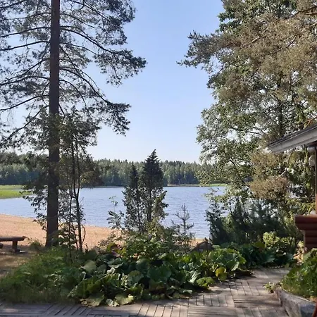 Jokiniemen Matkailu Tolva (Lapinlahti)