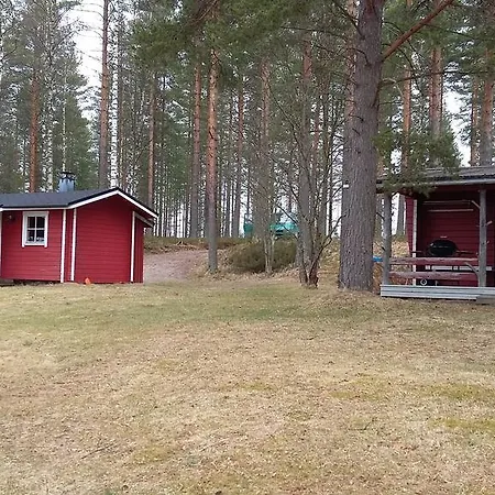 Dom wakacyjny Jokiniemen Matkailu Tolva (Lapinlahti)