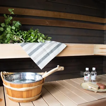 Jokiniemen Matkailu Tolva (Lapinlahti)