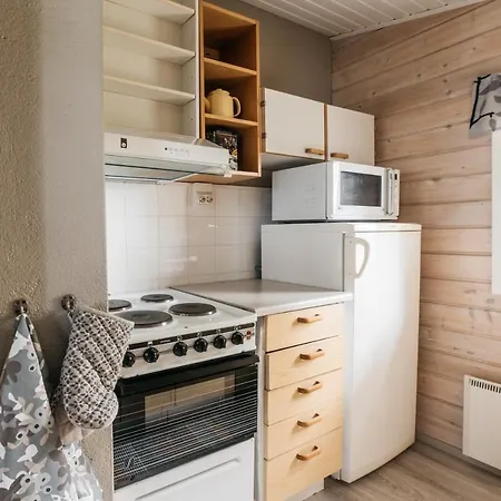 Jokiniemen Matkailu Dom wakacyjny Tolva (Lapinlahti)