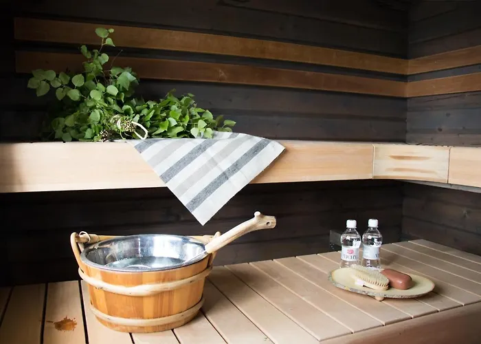 Jokiniemen Matkailu Tolva (Lapinlahti)